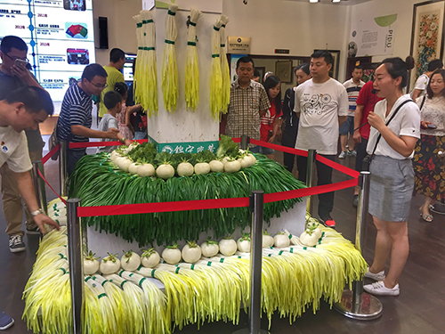 6 參觀場館 500.jpg 6 參觀場館 500.jpg