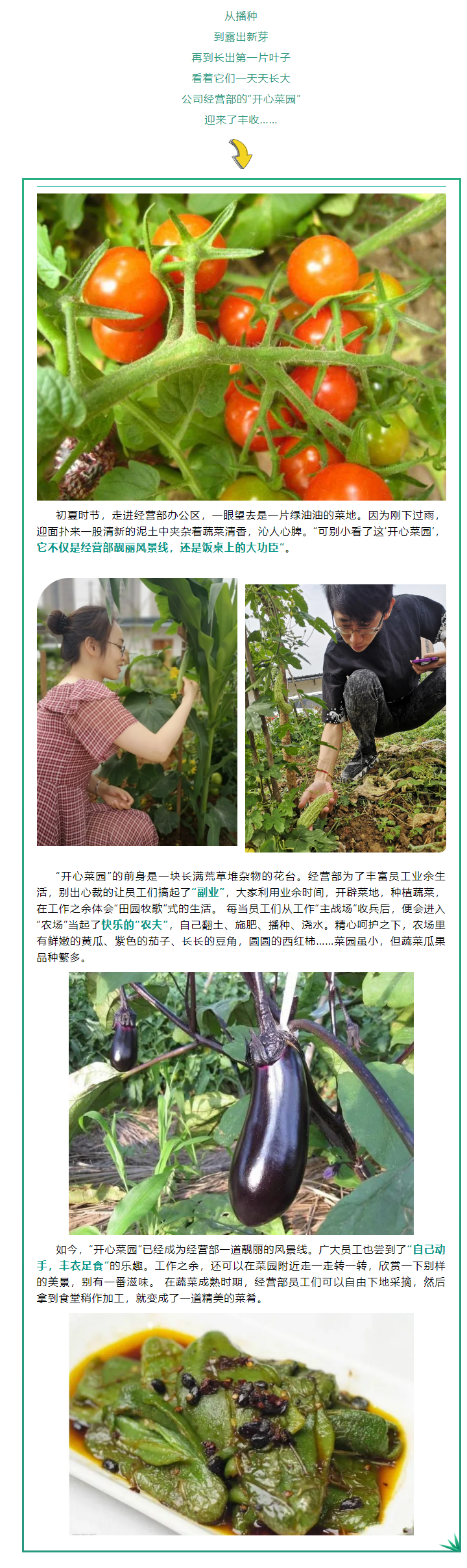 5.31  一線(xiàn)動(dòng)態(tài)_經(jīng)營(yíng)部“開(kāi)心菜園”豐收啦！.png